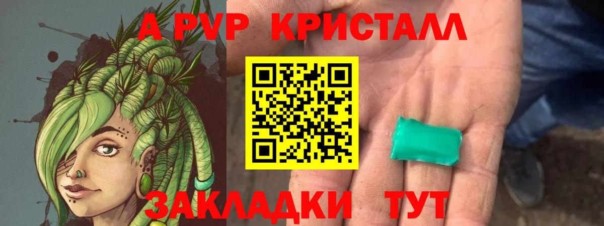 Альфа ПВП СК Елизово