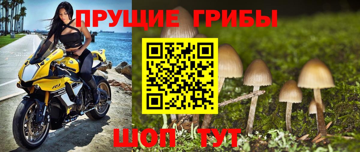 Елизово  Галлюциногенные грибы GOLDEN TEACHER  Вход с VPN 